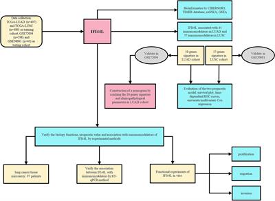 Comprehensive Analysis of Immune Implication and Prognostic Value of IFI44L in Non-Small Cell Lung Cancer